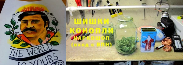 ГАЛЛЮЦИНОГЕННЫЕ ГРИБЫ Заволжье