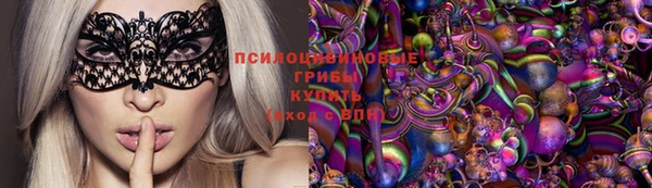 ГАЛЛЮЦИНОГЕННЫЕ ГРИБЫ Заволжье