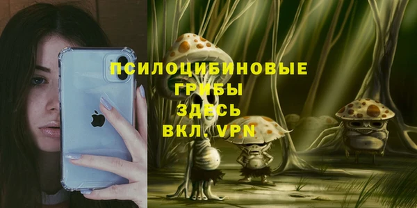 меф Заводоуковск