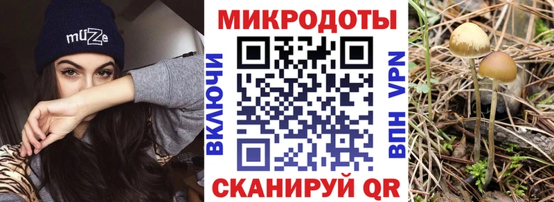 Галлюциногенные грибы Psilocybine cubensis  Купить закладки  Пролетарск 